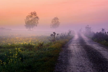 Struggling Through Mists Image